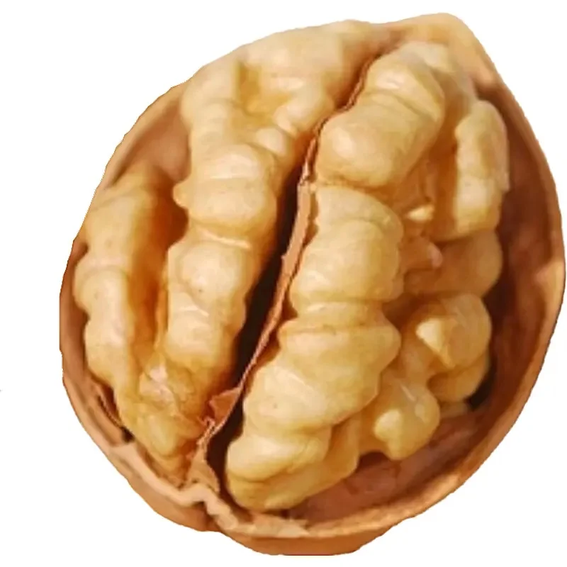 Wholesale High Quality1kg Walnuts Price Walnut in Shell Walnuts