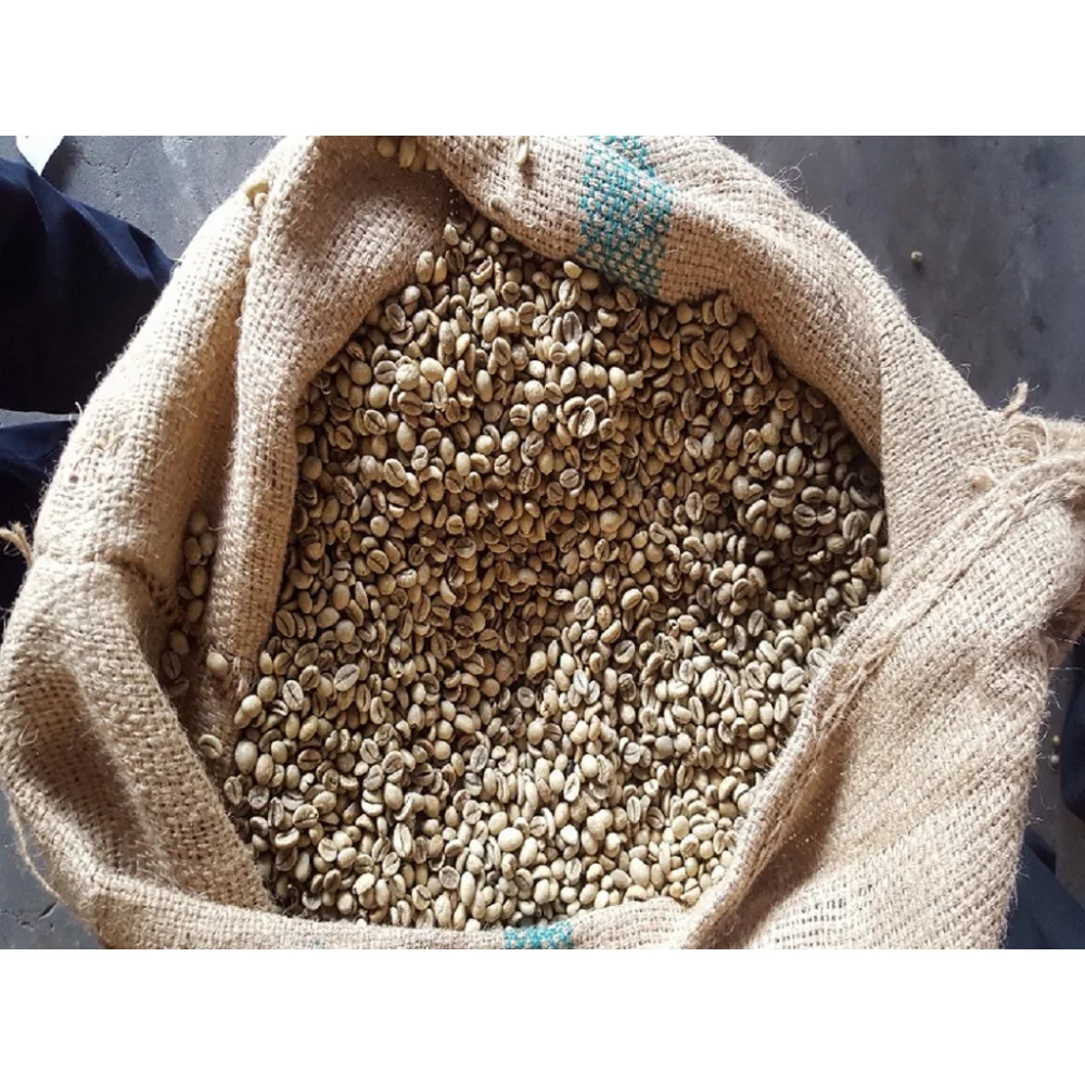VIETNAM ROBUSTA COFFEE GREEN BEANS NEW CROP WHOLESALE HIGH QUALITY GOOD SOURCES FACTORY PRICE TOP SUPPLIER HANFIMEX +84374074818