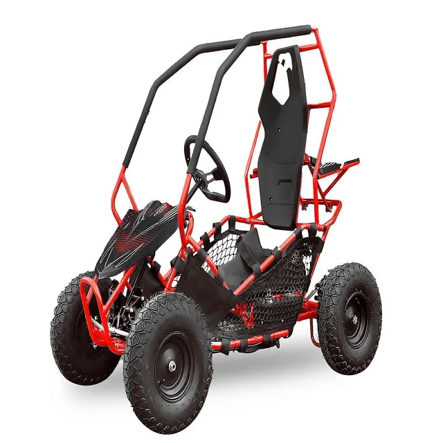 Go kart 196cc 212cc 2-местный перейти в корзину детский картинг приведенный