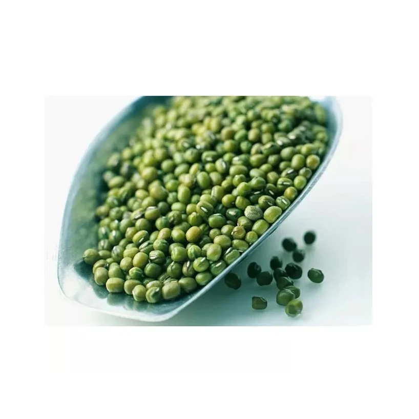 Hot Selling Organic Mung Vigna Beans Fresh Style Green Dried Bulk Packaging High Quality Organic Cultivation
