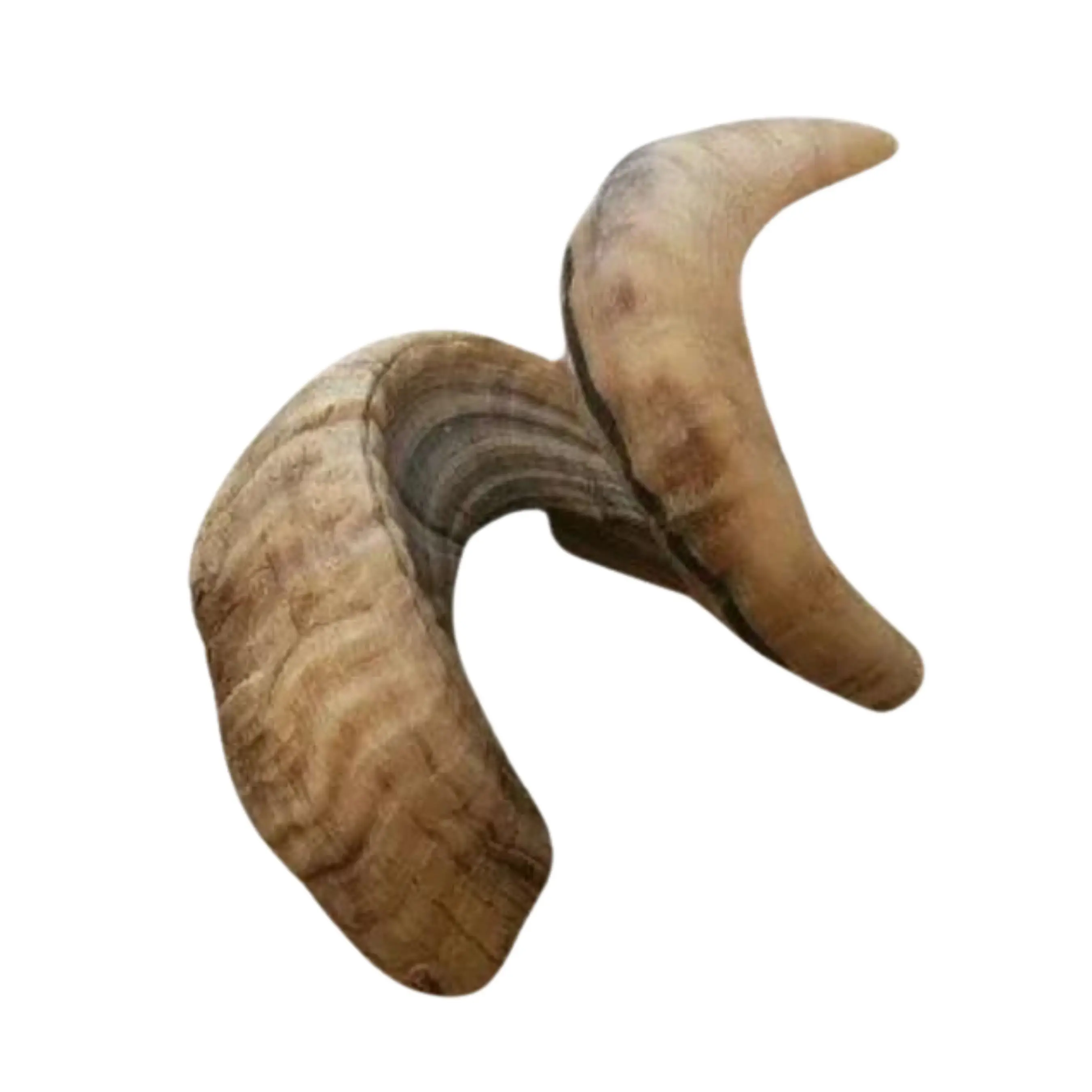 Indian Ram Horn for Pet Chew Toys Elegant Goat Horn Product with Free Sample Wholesale Dog Treats Prices