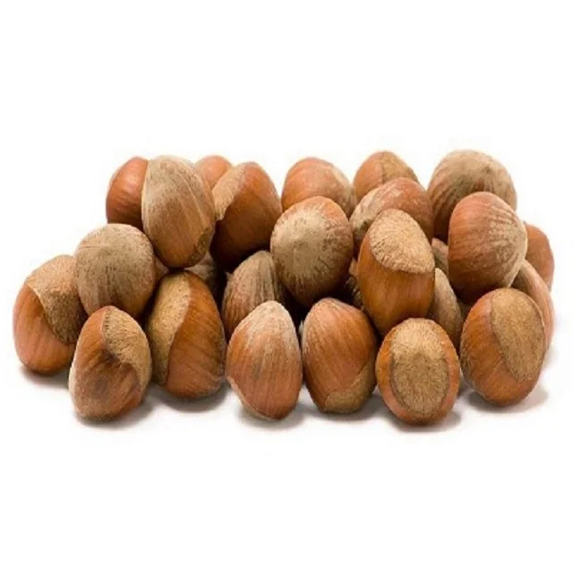 Suppliers Raw Dried Hazelnut Pealed Hazelnuts Sale From Canada OEM Shell Box Style Packaging 50 kg FOOD Color Package