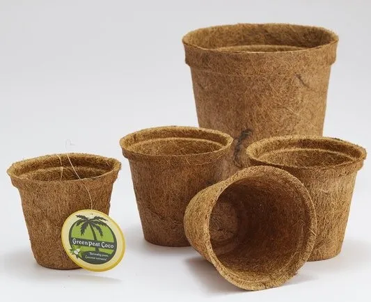 Coir pots eco-friendly and sustainable used in greenhouses and plant nurseries ultimately designed for floriculture