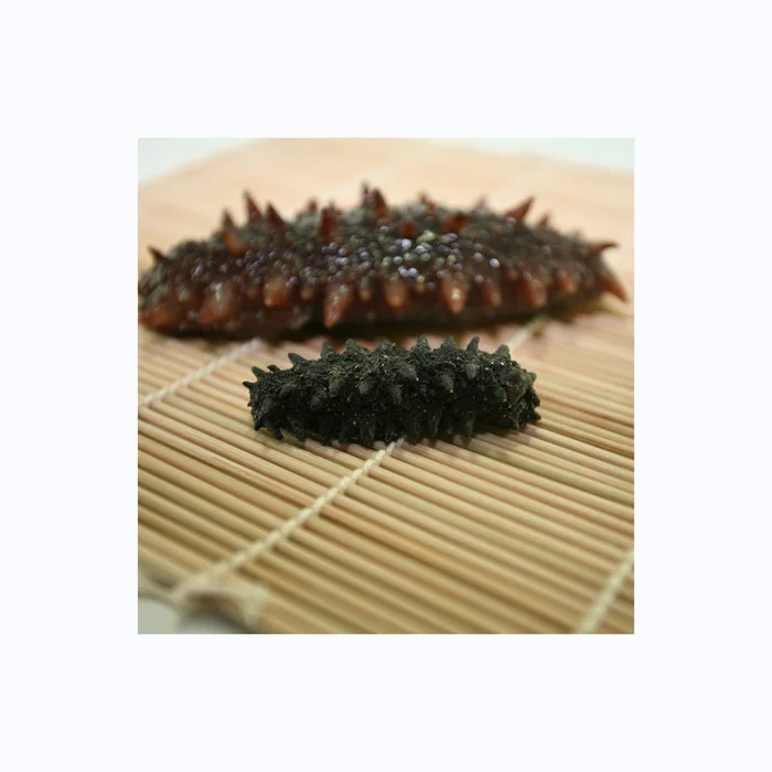 Wholesale Frozen Sea Cucumber for sale Sea Cucumber Frozen Sea Cucumber at affordable price