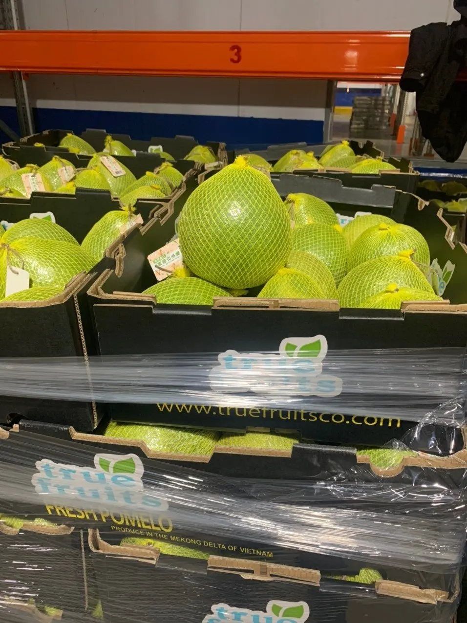 Лучшие вьетнамские Цитрусовые фрукты новый урожай свежий помело вьетнамский грейпфрут зеленая кожа для