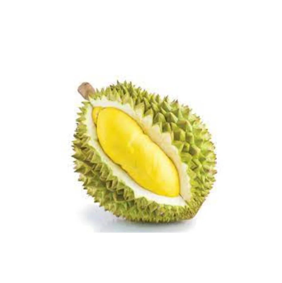 Extra Grade Of Durian Monthong RL Supply Brand Quality Product From Thailand Manufacture Export Large Market (10000010105967)