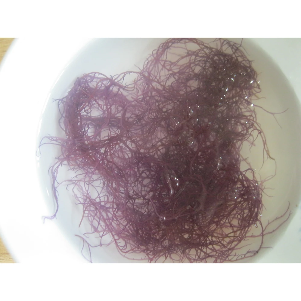 Best Price Most Popular Gracilaria Dried Seaweed Delicious Source of Essential Minerals & Vitamins Health From Vietnam