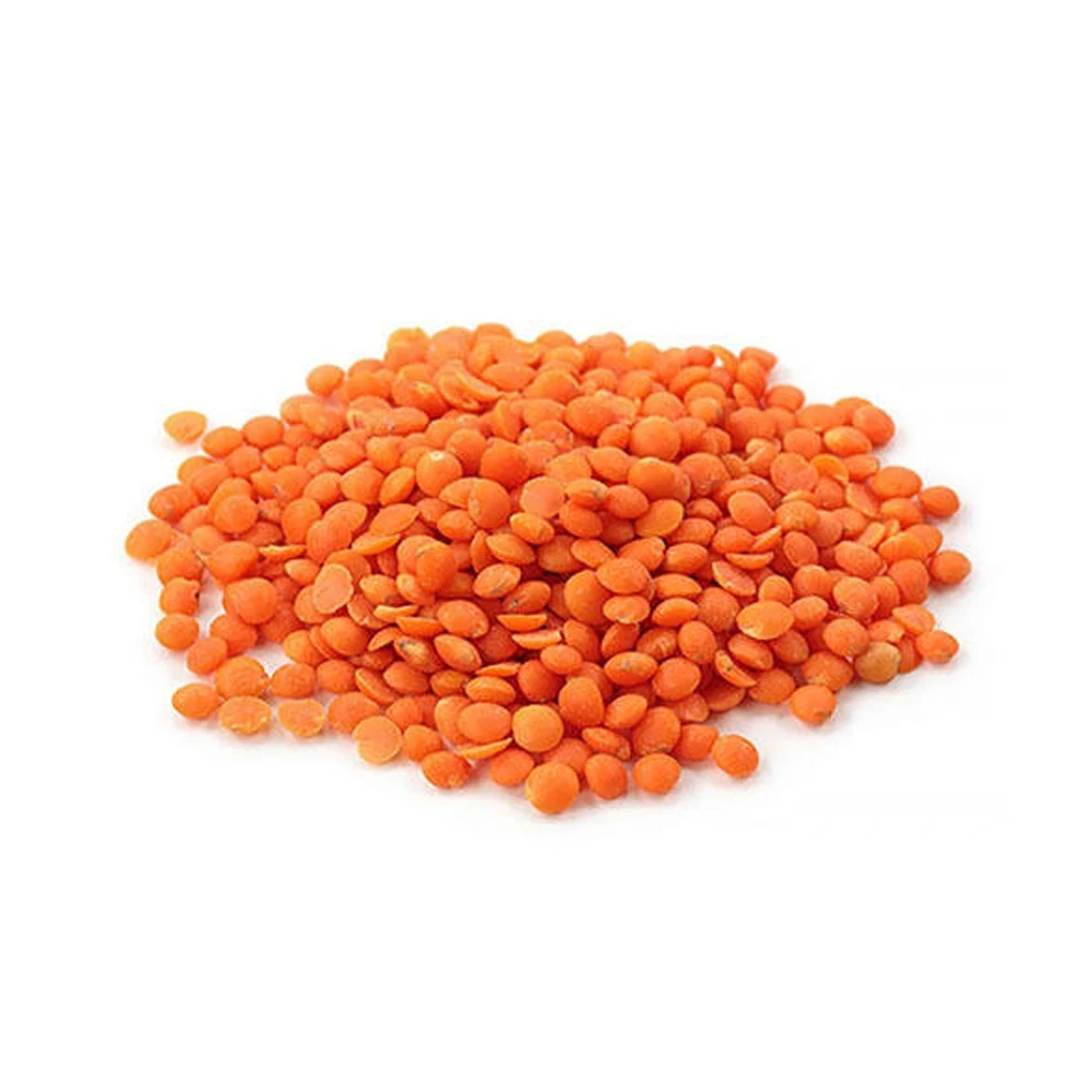 Lentils Beans Suppliers for Sale