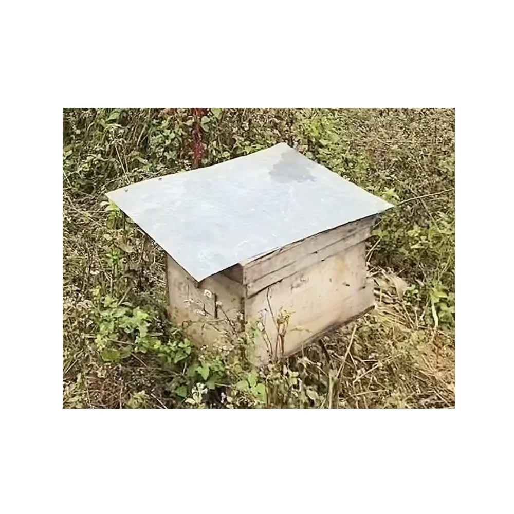 Shelf Type Honey Use Skincare Place Vip Dry Packaging HMF1kg pure honey price Forest Honey From Vietnam