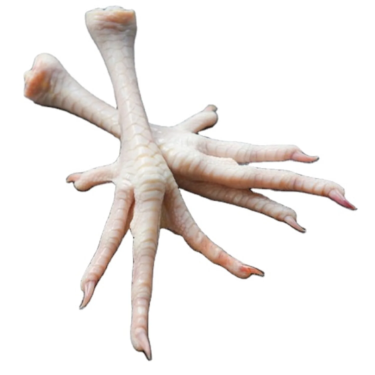 Quality Fresh Frozen Chicken Feet 15 Kg Box Suppliers/Buy Frozen Chicken Paws 40-50 grams
