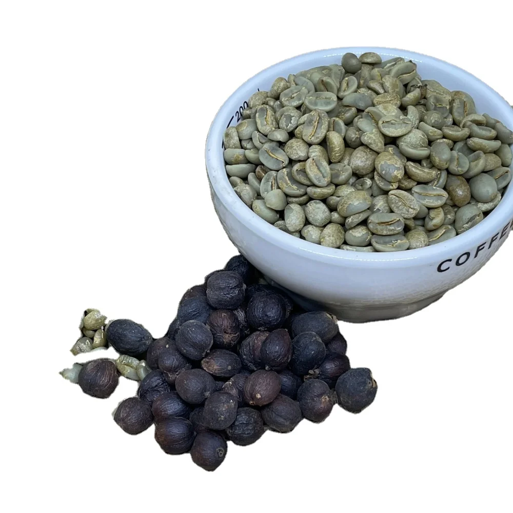 Arabica Green Coffee Beans Premium Quality Honey Process Single Origin long shelf-life Coffee from Cau Dat Farm Vietnam