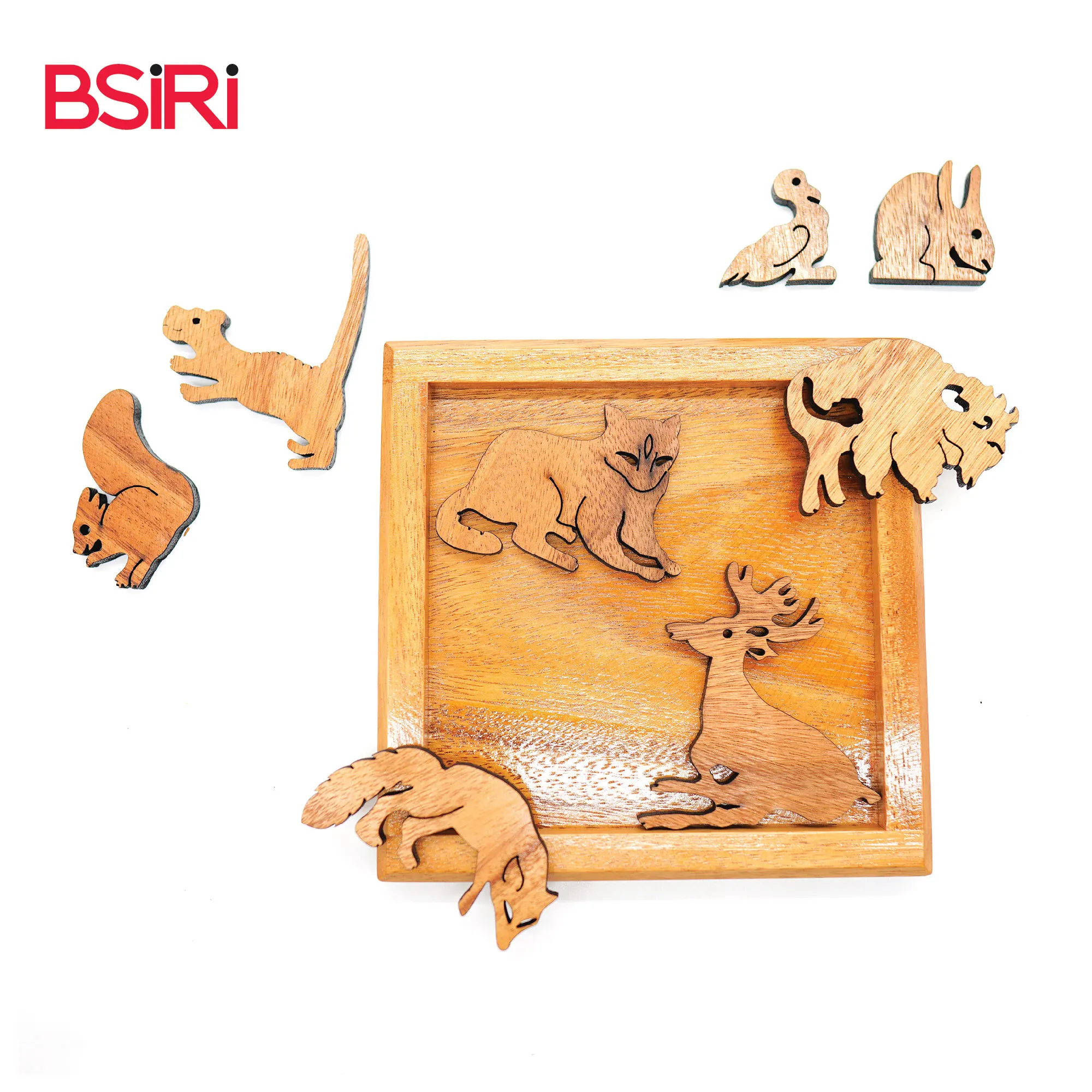 Special Novelty Gifts Ideas 2023  for Animal Lovers  Zoo Puzzles Brain Teaser Solving Games Funny Activity