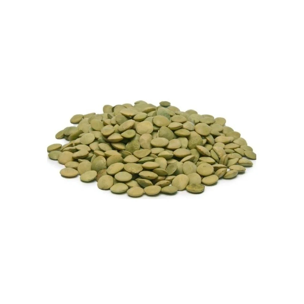 Wholesale Supplier Of Bulk Fresh Stock of Whole Green Lentils Dry Organic Green Lentils