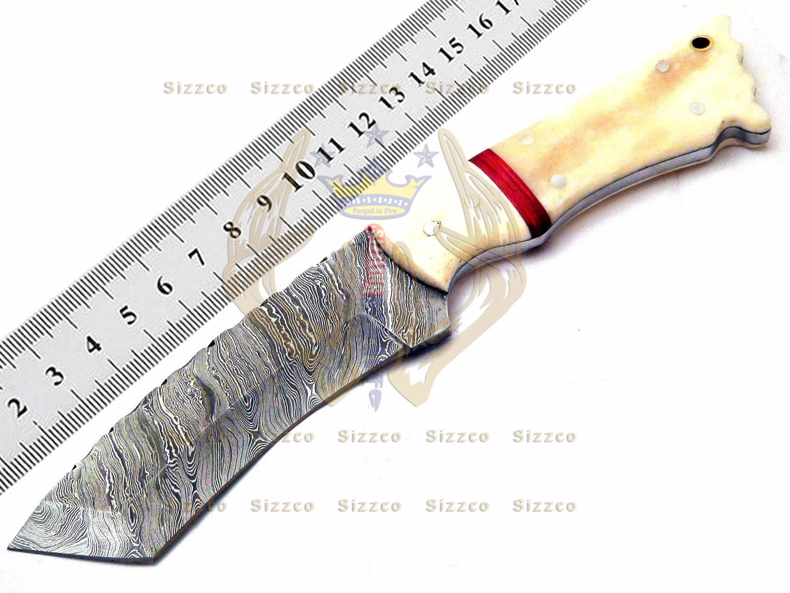 Beautiful Sizzco Handmade Damascus Steel Fixed Blade Hunting Camping Skinner Tanto Knife Handle Camel Bone with Brass Clip