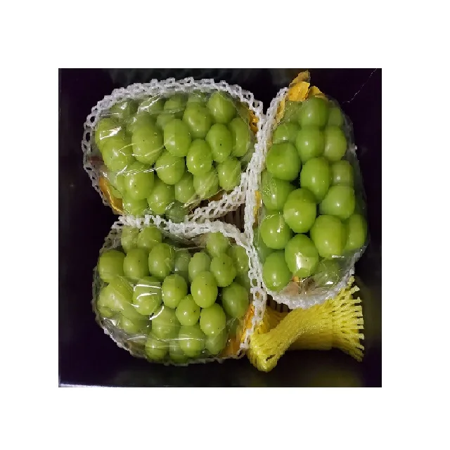 [DAEMYUNG] Fresh Top Quality Seedless Grape Wholesale Premium Grape Best Price Healthy Fruit Sweet Juicy Fresh Grapes