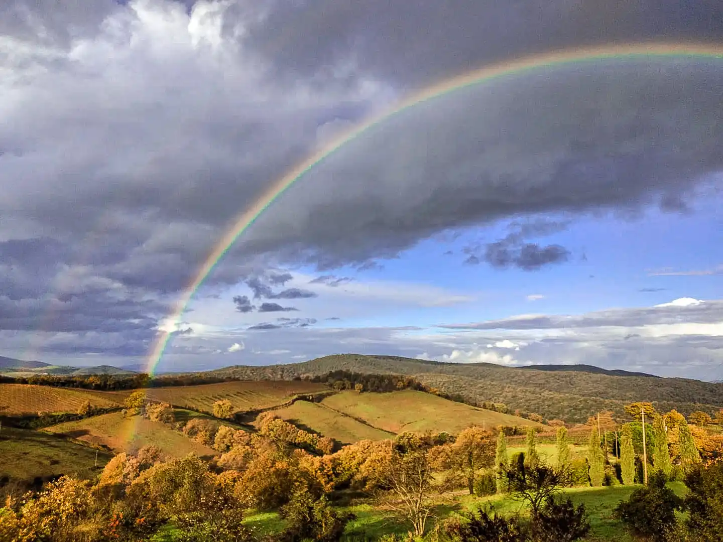 HIgh Quality Italian Organic Morellino di Scansano Red Wine 75 Cl  For Aperitif and Dine