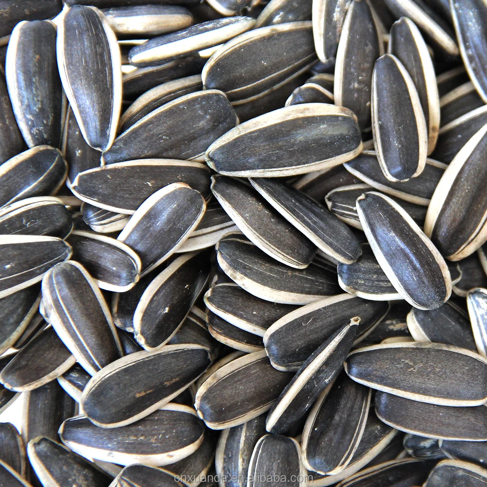Black sunflower seeds High Quality New Crop Sunflower Seeds Raw Sunflower Seed For Oil Natural Wholesale Human Consumption