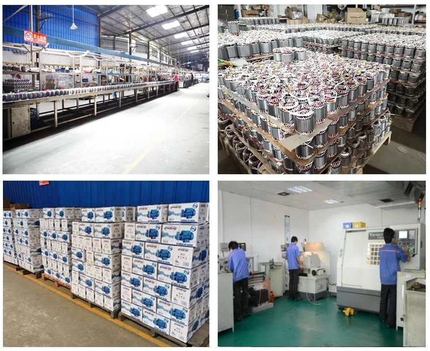 RUIQI Low-priced High Quality Electric Self-Priming Jet water pump 1HP JSP 355A/50 agricultural Water pump garden pump home use