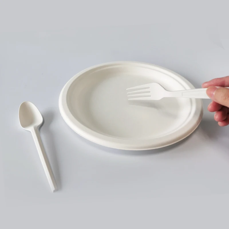 Biodegradable 9inch Disposable Sugarcane Tableware Compostable Bagasse Paper Plate