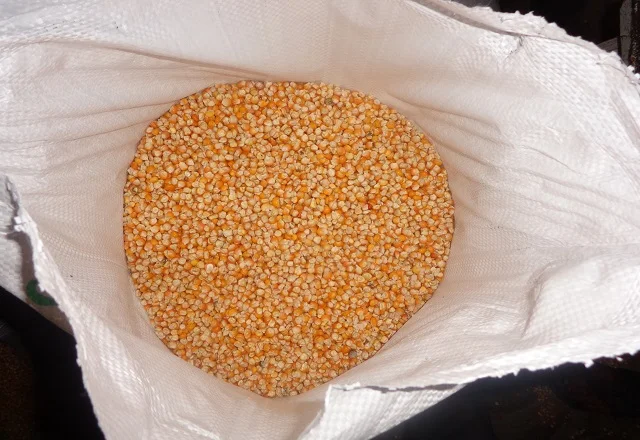 Indian Yellow Corn Maize For Animal Feed Yellow Corn For Poultry Feed Export Quality Available From India