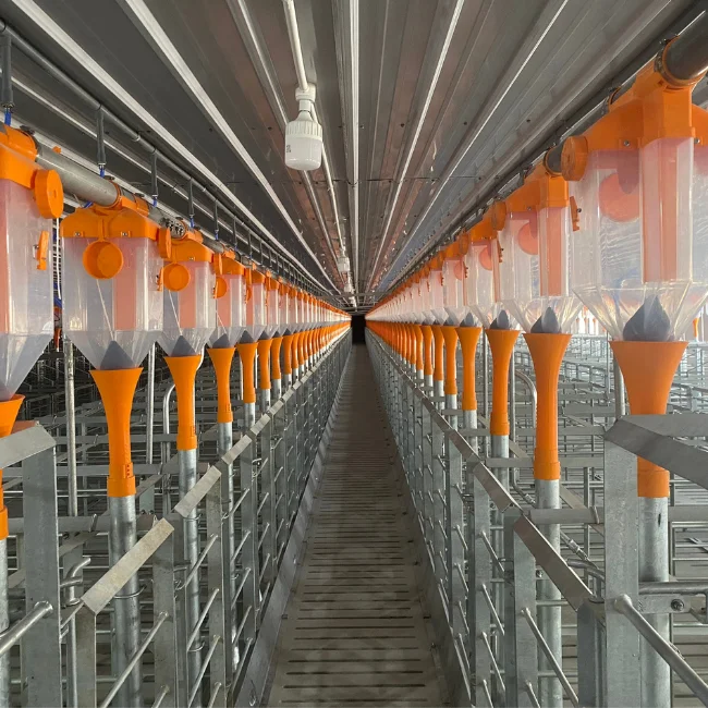 Cheap price cages for pigs in gestation  gestation cage maternity pig Stainless Steel  Made in Vietnam Manufacturer