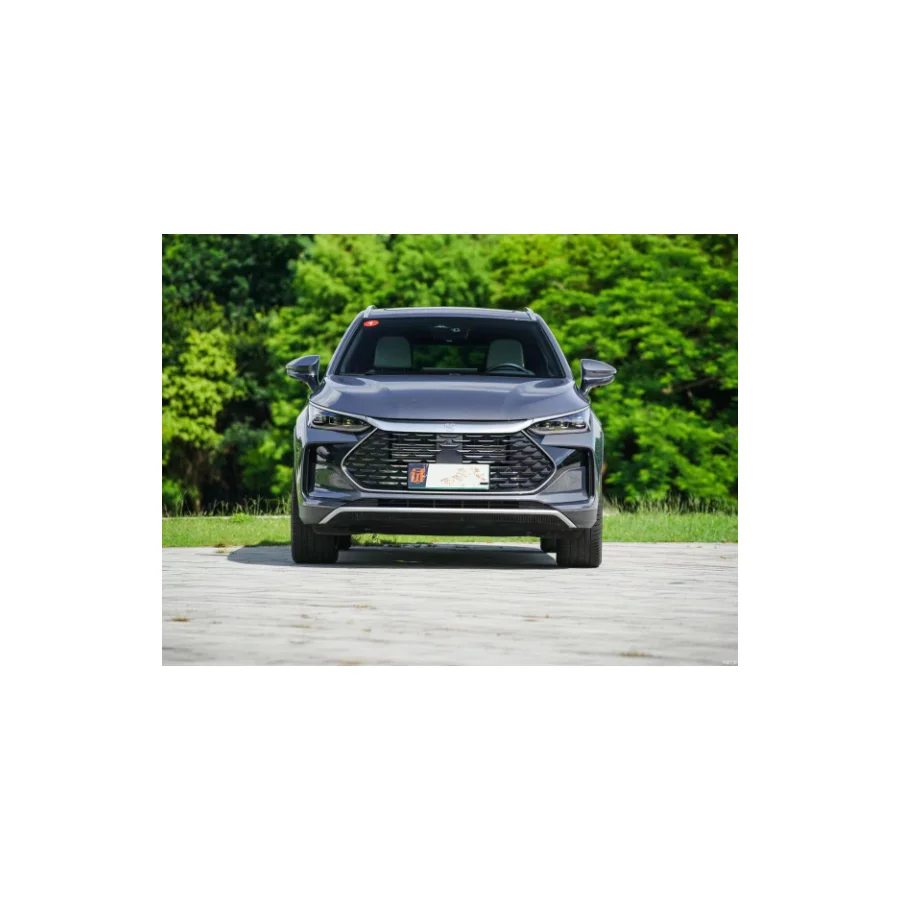 BYD Tang New Energy 2022 DM-p 215KM 4WD Top Equipped Plug-in Hybrid