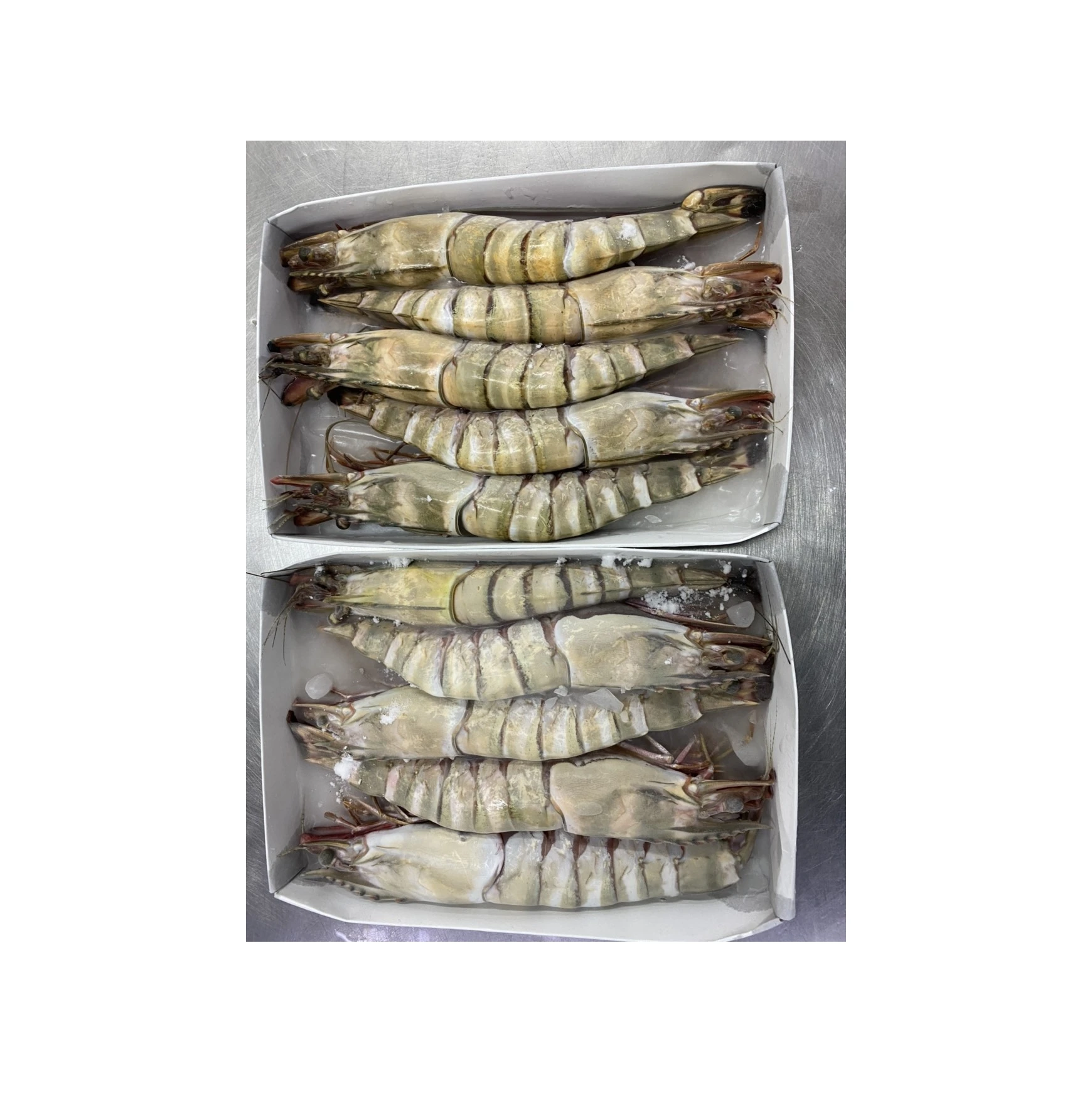 Черная Тигровая креветка HOSO SEMI IQF замороженная свежая головка на оболочке вес нетто отсчет индивидуальная упаковка для продажи