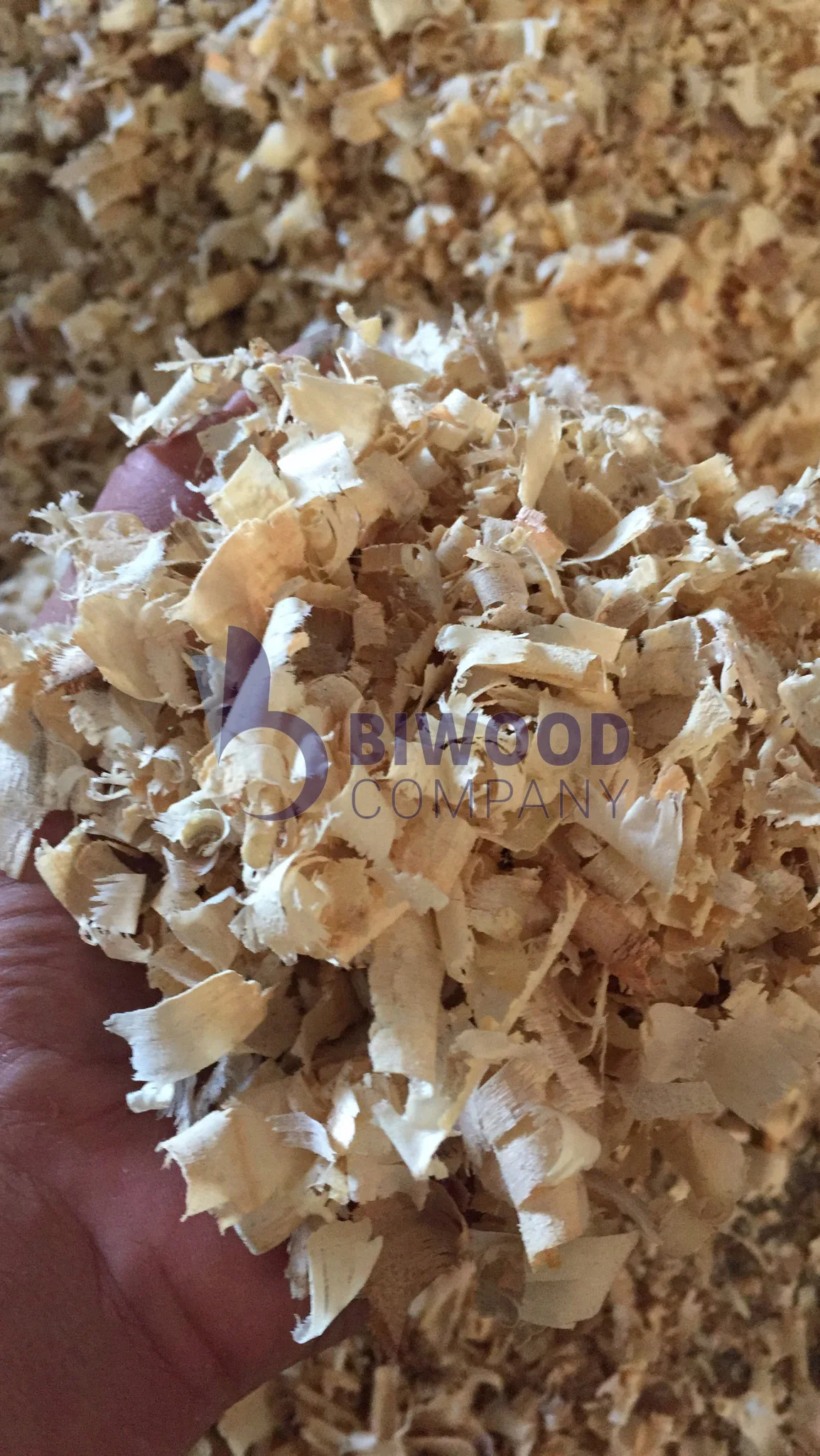 Сосновая древесина для бритья животных постельные принадлежности высокое качество 1% пыли легко использовать экономия