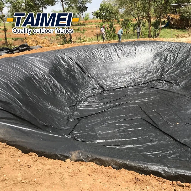 Dam Pool Geo Membrane Sheet Pond Liner Geomembrane for fish ponds anti leakage landfill sites