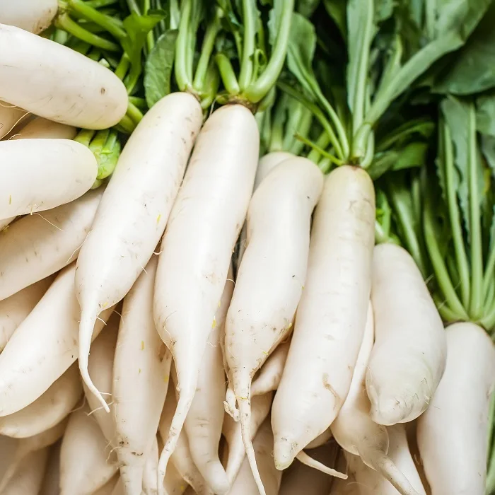 Export Fresh Organic Vegetables Vietnam Organic White Radish// Hot sale fresh white radish fresh vegetables