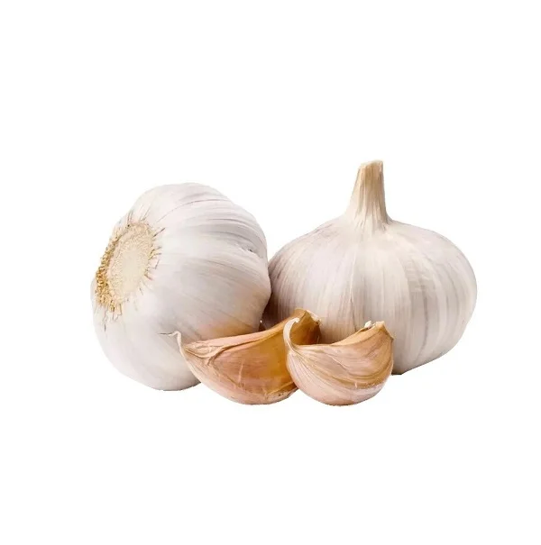 Wholesale Premium Quality New Fresh Vegetables Chinese 3p Pure Custom Packaging Cheap Price White Garlic for Sale