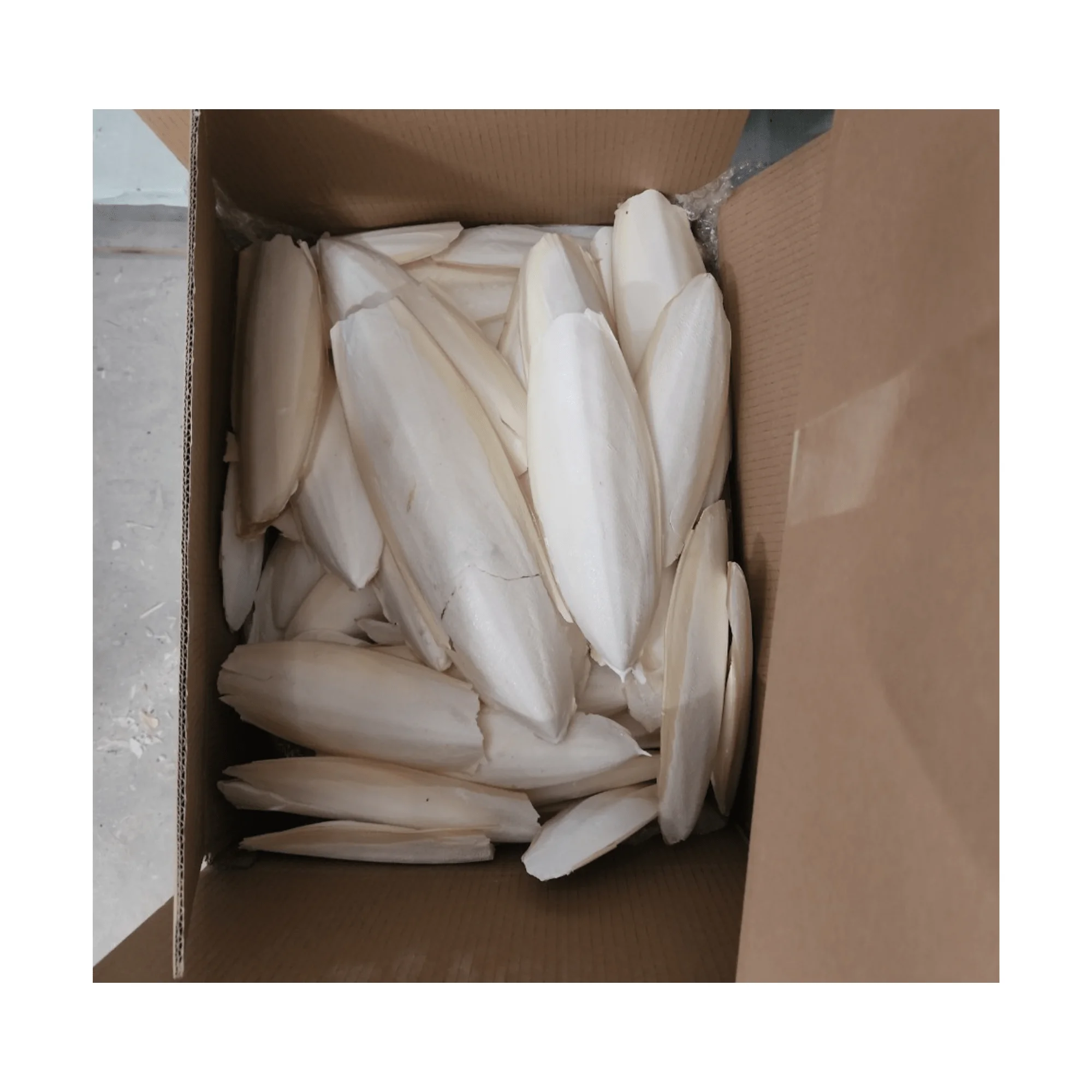 Hot Deal Pet Food Dried Cuttlefish Bone Cuttlebone Holder Bird Toy With High Quality Bleached White Trimmed Or Raw Best Price