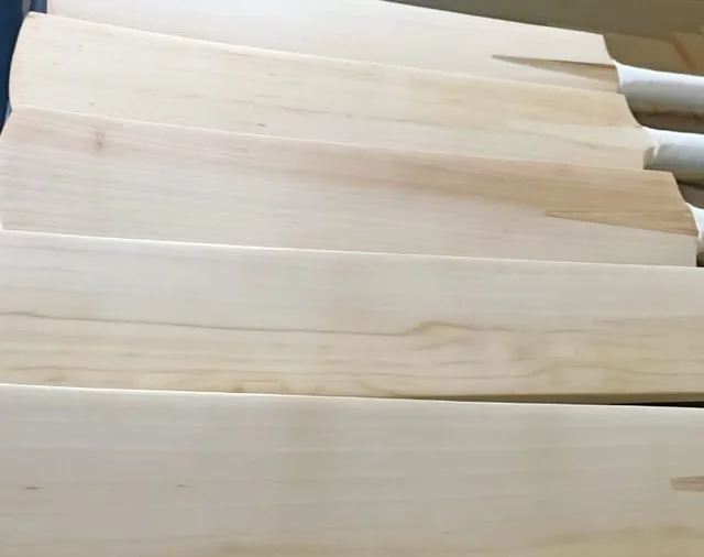 English Willow Customize top Professional Players Quality Cricket Bat Brand Srinika Sports