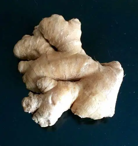 Fresh Ginger Price In Vietnam Ginger For Sale From Vietnam Manufacturer