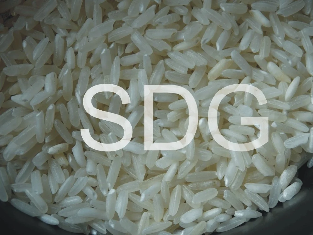 Long Grain Parmal Rice Wholesaler Bulk Exporter Parmal Rice India Manufacturer Supplier At Low Price