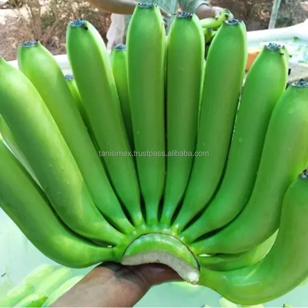 Вьетнамские бананы Cavendish-Доступные оптовые цены