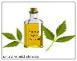 Neem Oil 4.jpg