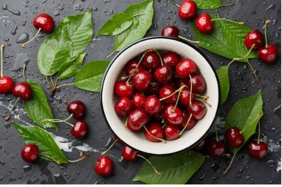 Dehydrated Cherry 100g./Pack, Low Sugar, Zero Flavorings, Wholesale from Factory in North of Thailand