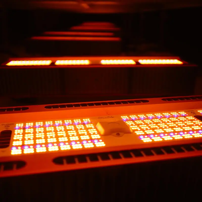 GrowSpec High Brightness Full Spectrum Greenhouse LED Grow Light 650W LED Top Lighting