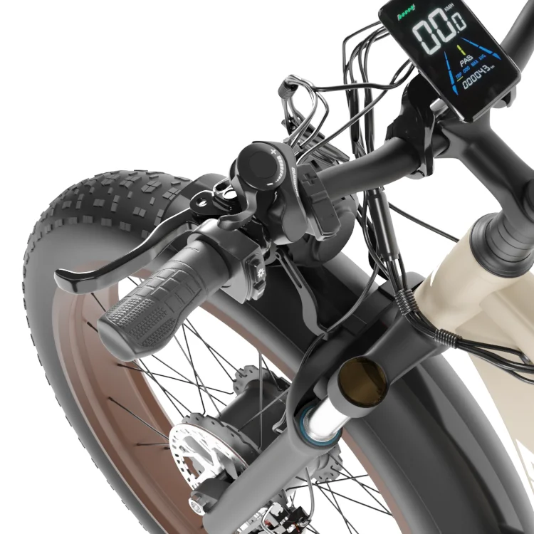 Five-year warranty Dual Motor electric bicycle 48v 2000w e-bike Pedal Assist dual battery Fat Tire Electric Mountain Bike