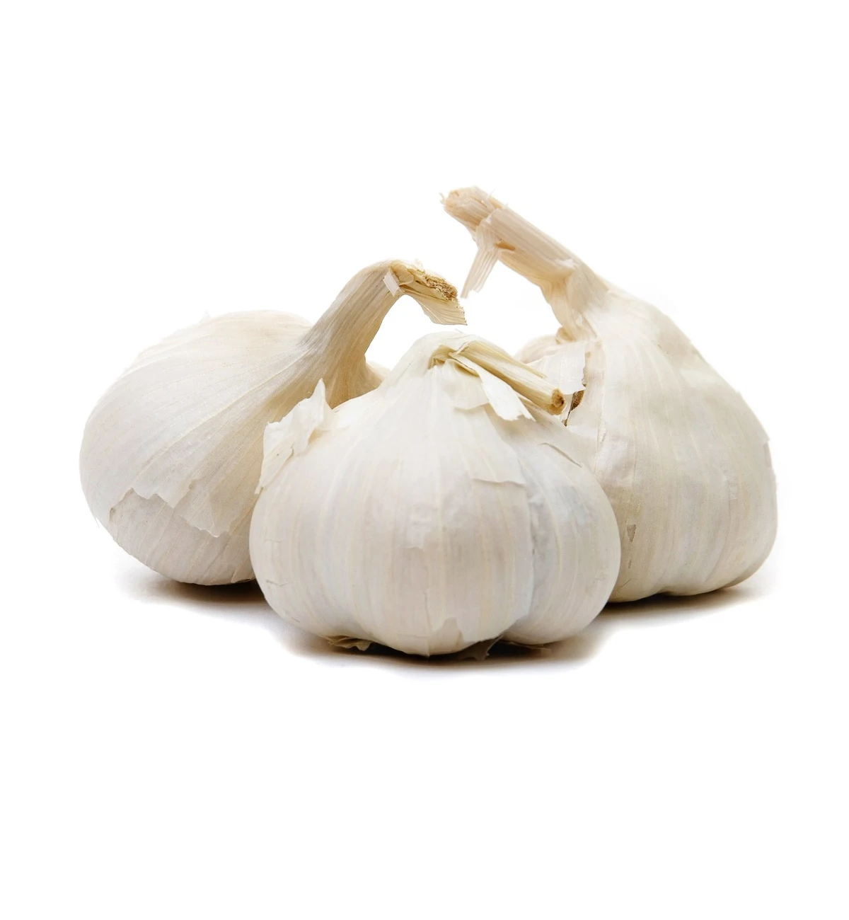 Non-GMO great taste food grade nutritious natural fresh vegetables from Uzbekistan fresh garlic for food