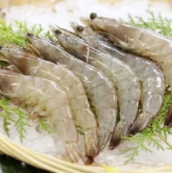 Viet Nam vanamei shrimp frozen seafood whole sale