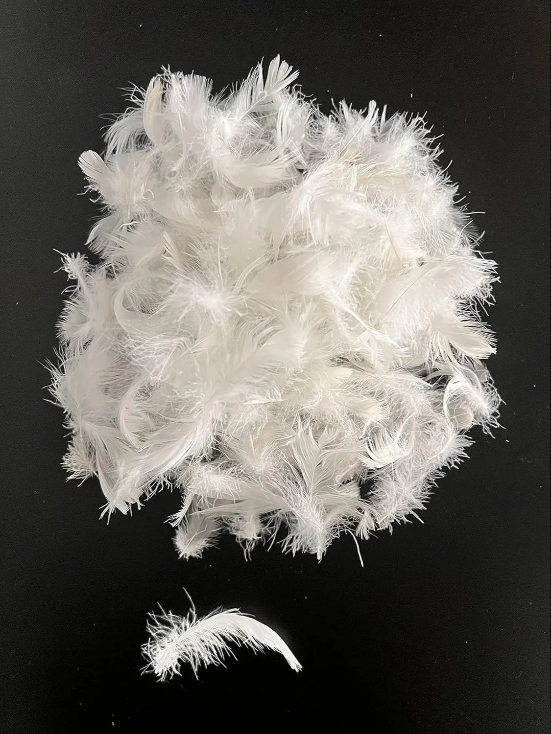 Eco-Friendly Customizable Duck Feather Decoration Natural Dye for a Gorgeous Look