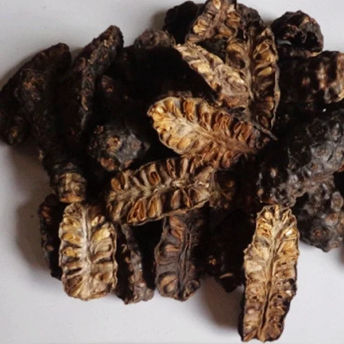DRIED NONI FRUIT FROM VIETNAM - PREMIUM QUALITY AND COMPETITIVE PRICE - GOOD FOR HEALTH - BEST SELLER