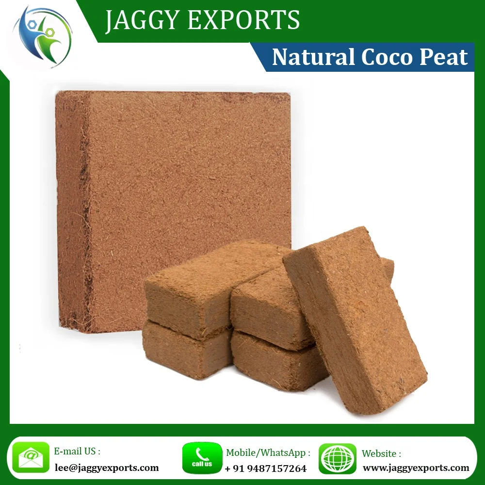 Coco Moss Block for Singapore Importer - Coco peat Used to Animal Bedding and Plantation