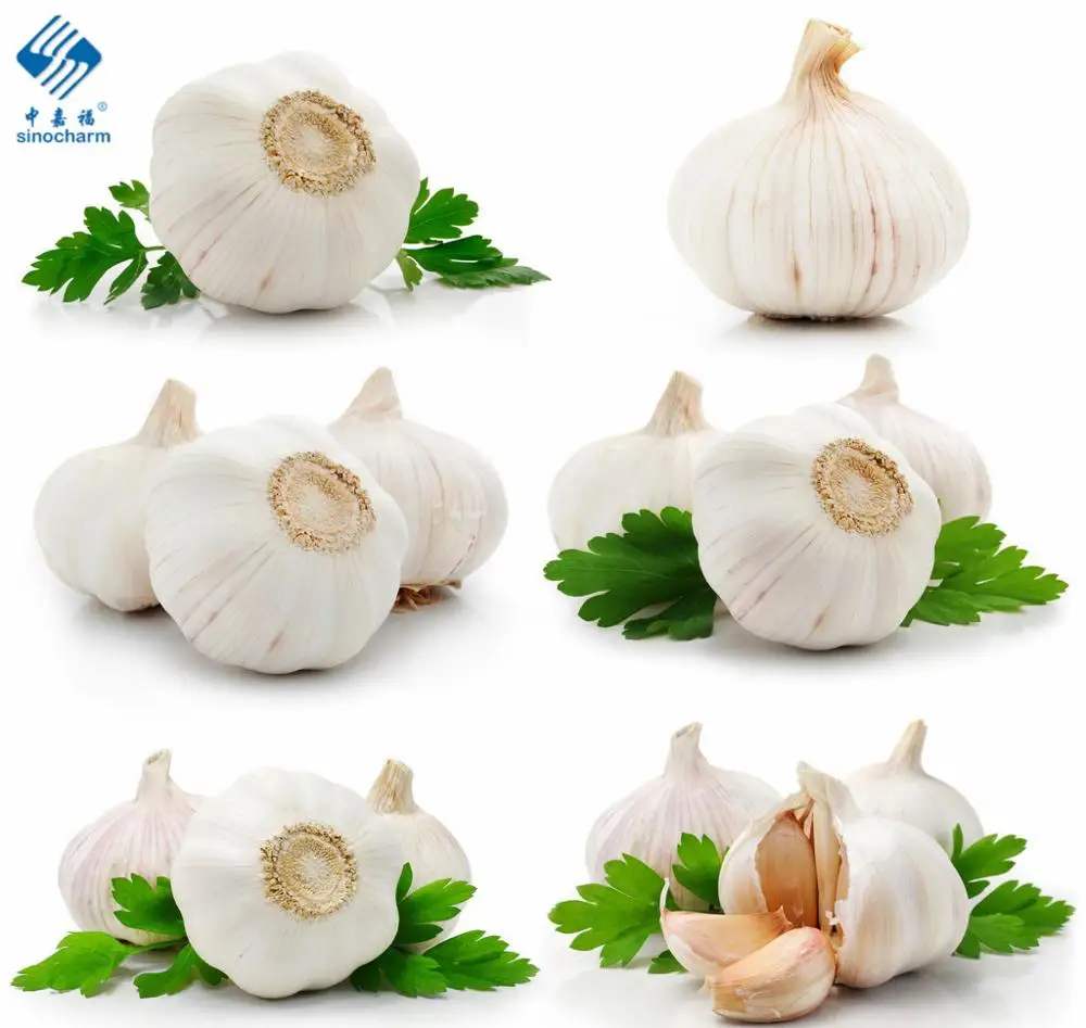 Garlic Price 1KG, Elephant Garlic Price, Wholesale Garlic Price