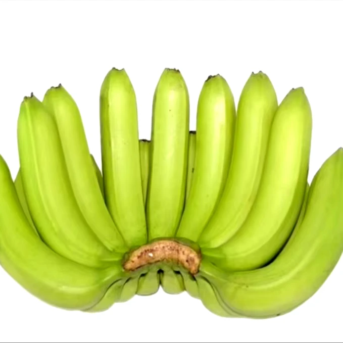 Cavendish Banana / Fresh Green Banana / Fresh Fruit And Vegetables From Vietnam