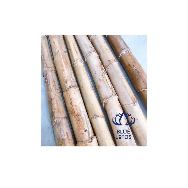 Vietnam Rattan Bamboo Stick Cane Raw Material