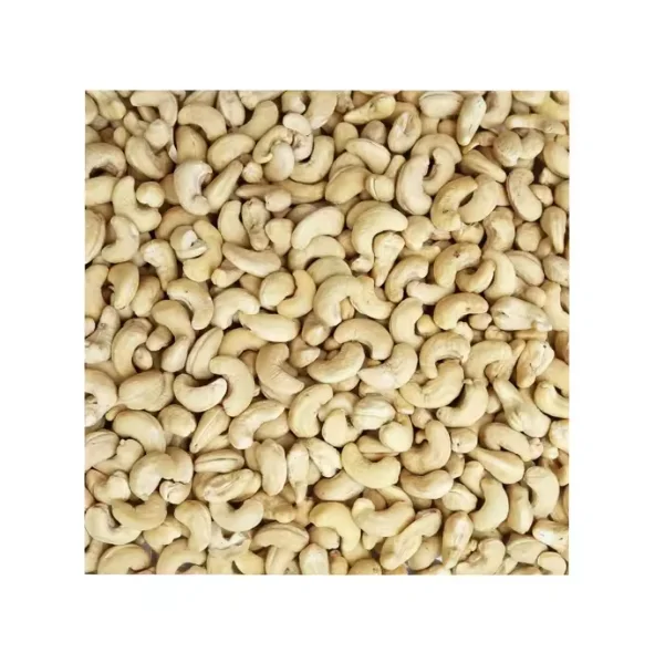 FOR SALE W320 W240 W180 Raw Cashew Nuts factory price Dried Fruits Nuts