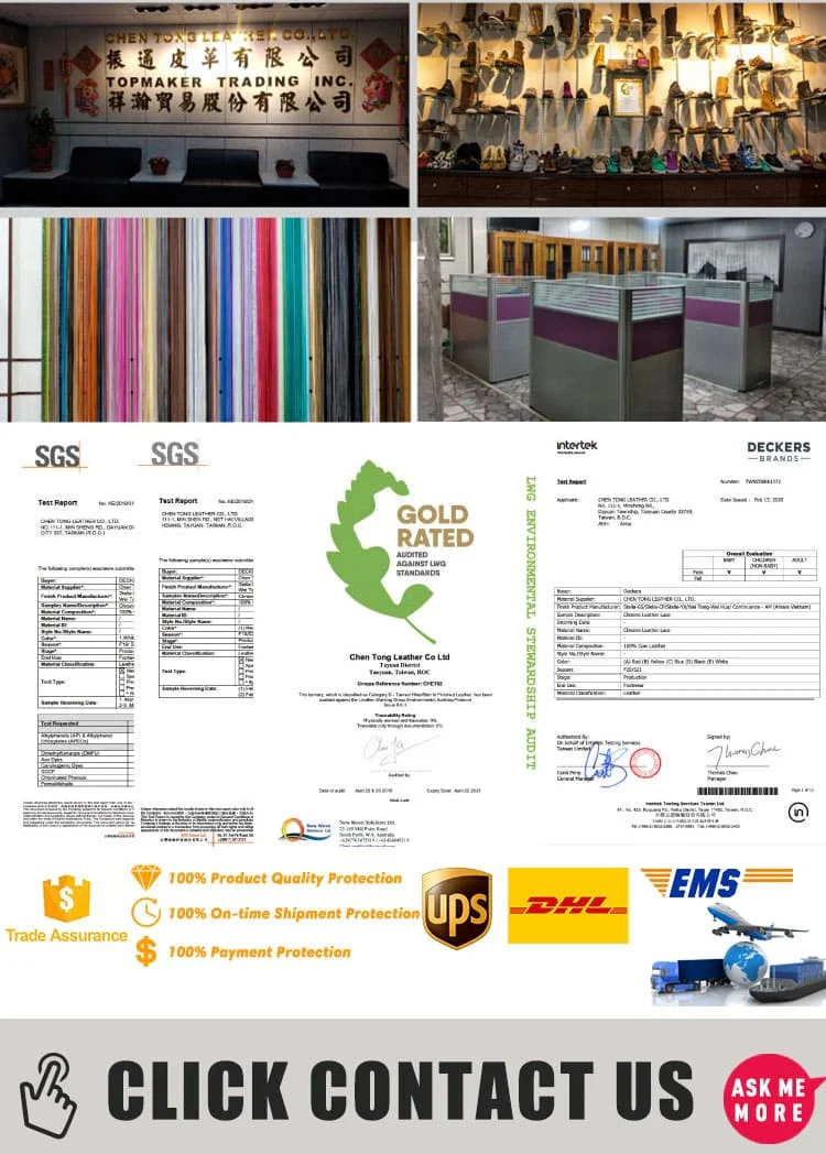 Dog Collar T16-1 N3L11